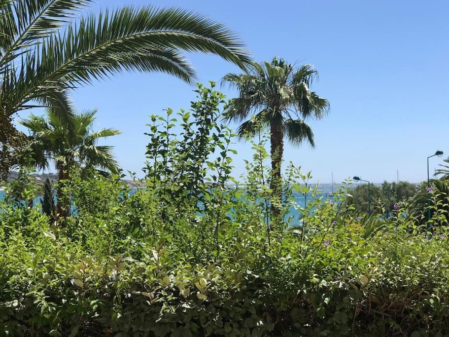 Bandol Roc Beach Vue Mer Grand T3 Face A La Plage Avec Parking Εξωτερικό φωτογραφία