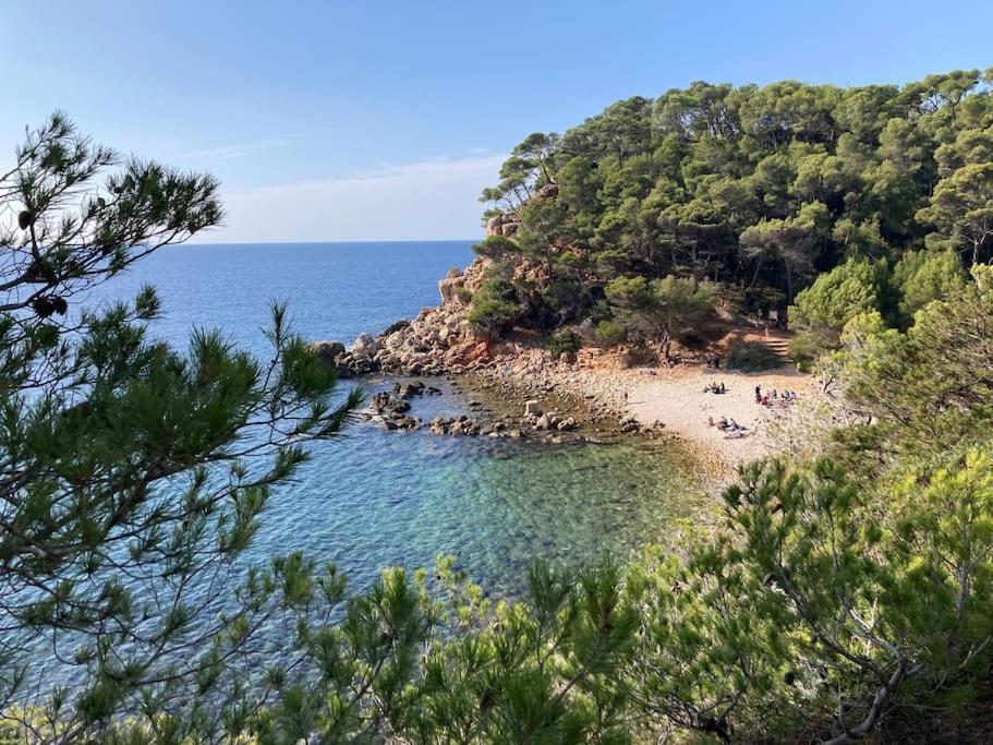 Bandol Roc Beach Vue Mer Grand T3 Face A La Plage Avec Parking Εξωτερικό φωτογραφία